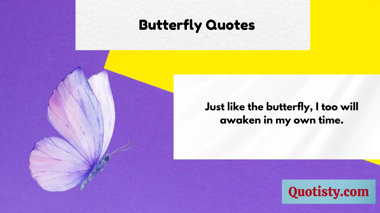 Butterfly Quotes 