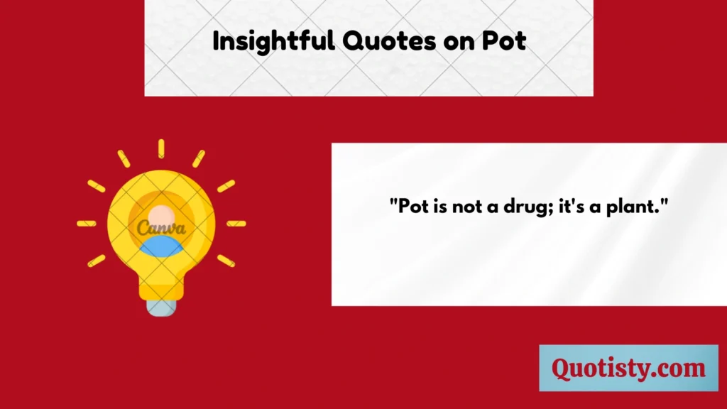 Insightful Quotes on Pot