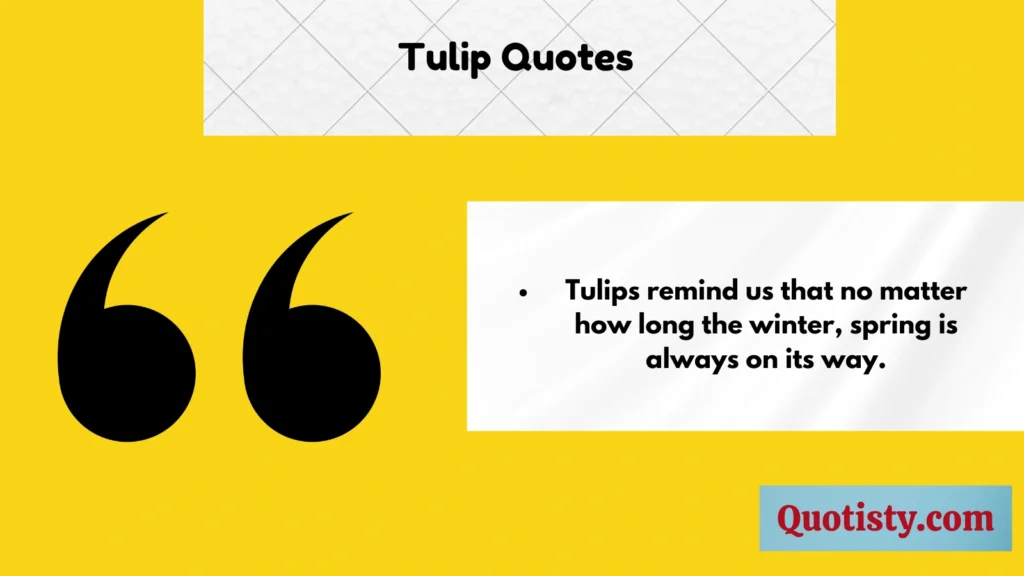 Tulip Quotes 