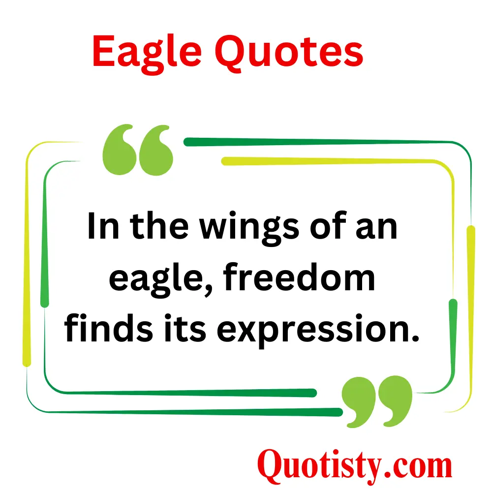  Eagle Quotes About Freedom