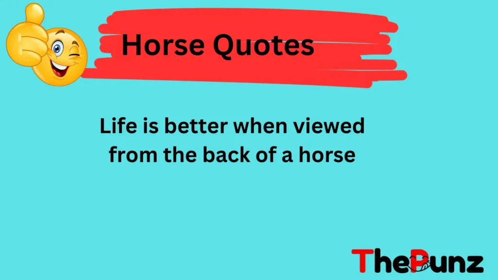  Inspirational Horse Quotes