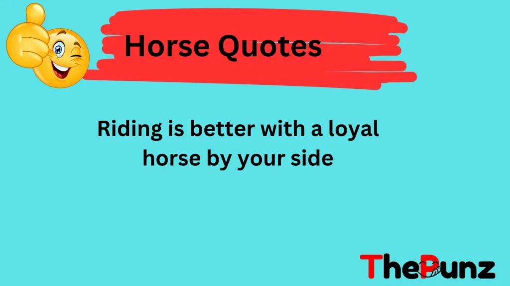  Love and Friendship Horse Quotes